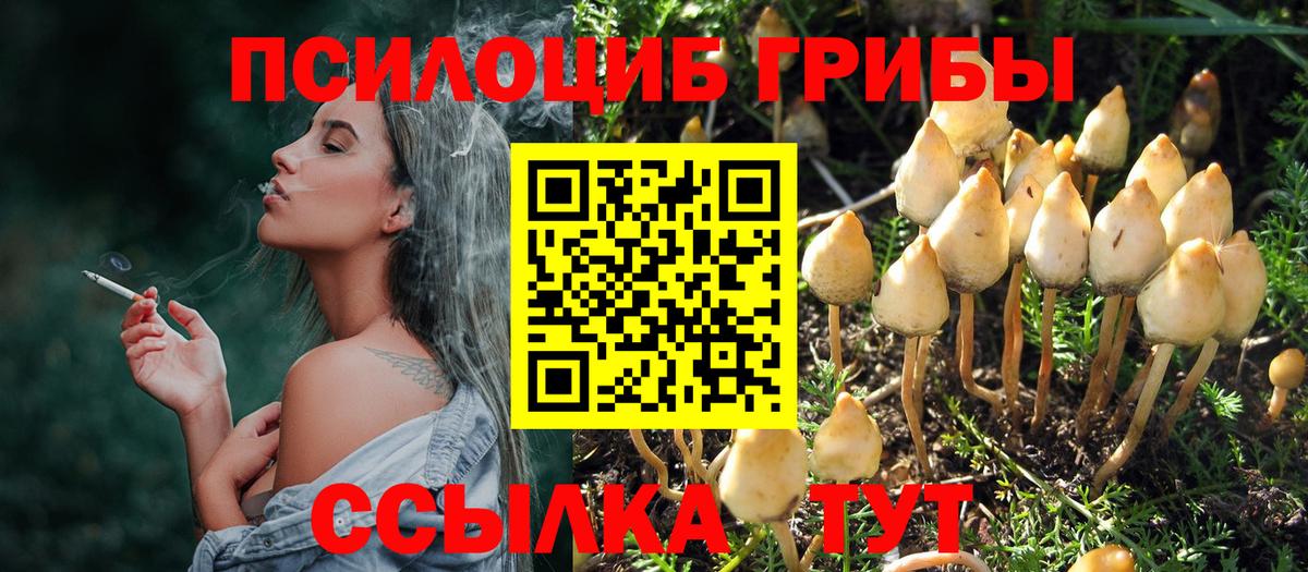 Галлюциногенные грибы мицелий  где купить наркоту  Саянск  Вход с VPN 